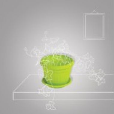 Ghivece si farfurii pentru ghivece