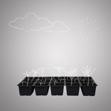 Ghivece si tavi de rasad